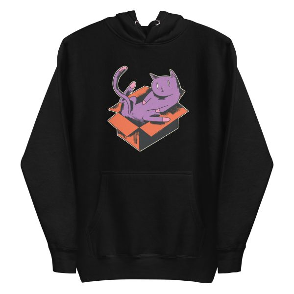 Cat In Box Hoodie