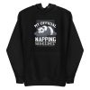 unisex-premium-pullover-hoodie-black-front-6a19533498899.jpg Napping Panda Hoodie