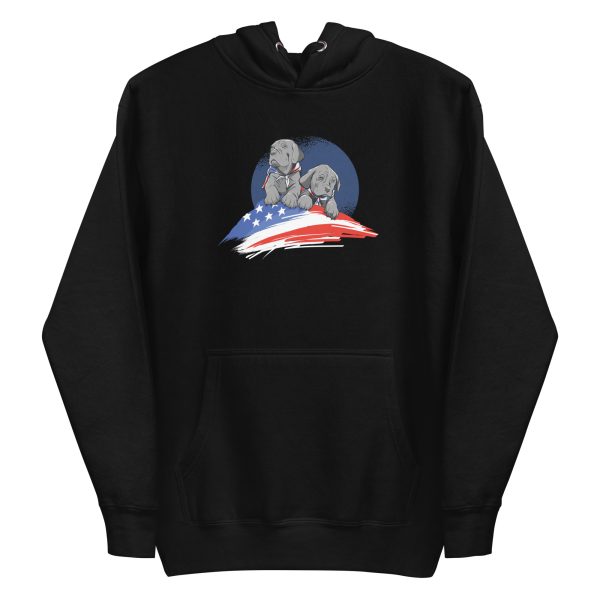 unisex-premium-pullover-hoodie-black-front-6aa186c9bb09c.jpg American Dogs Hoodie