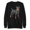 German Hound Sweatshirt