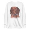 Bavarian Mountain Hound Sweatshirt
