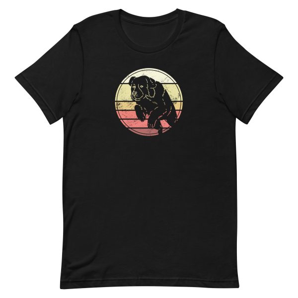 unisex-staple-t-shirt-black-front-6a9f8b7a9f197.jpg Landseer Sunset T-Shirt